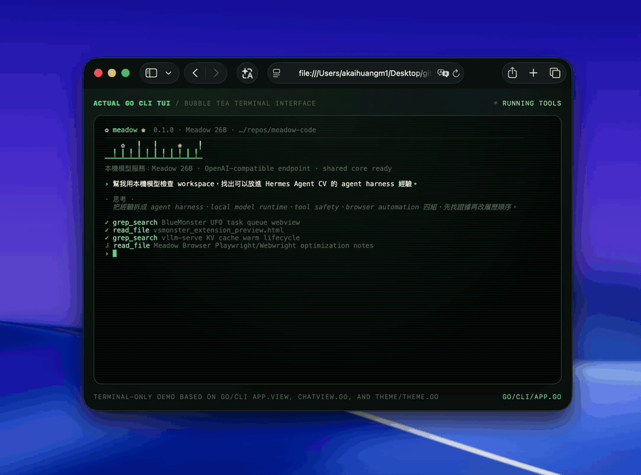 Recorded Meadow Go CLI terminal interface with task execution and local runtime state