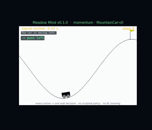 Meadow Game MountainCar momentum control