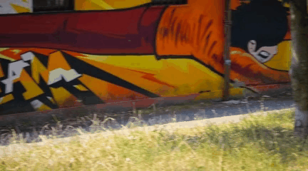 ProPainter MLX video inpainting removing object from BMX sequence